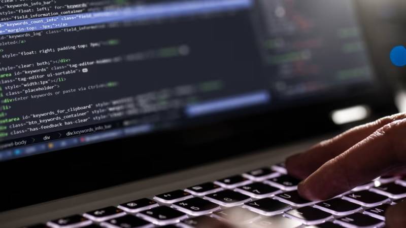 触觉反馈成关键?大理微信小程序定制为何要聚焦极致用户体验